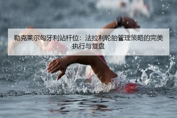 lei-ke-lai-er-xiong-ya-li-zhan-gan-wei-fa-la-li-lun-tai-guan-li-ce-lve-de-wan-mei-zhi-xing-yu-fu-pan-2-716.jpg