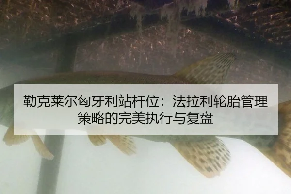 lei-ke-lai-er-xiong-ya-li-zhan-gan-wei-fa-la-li-lun-tai-guan-li-ce-lve-de-wan-mei-zhi-xing-yu-fu-pan-3-414.jpg